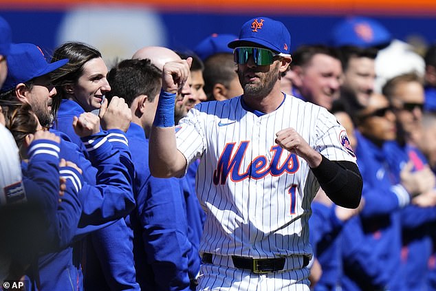 Песня, выбранная МакНилом, понравилась публике на стадионе Citi Field в Квинсе.