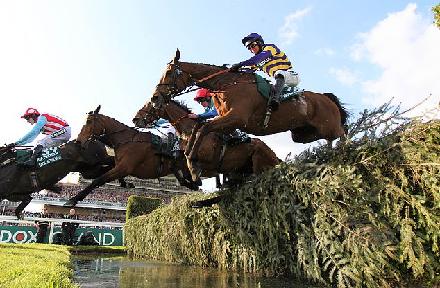 Самая ценная прыжковая гонка в Европе, Grand National, пройдет в Эйнтри в субботу днем.