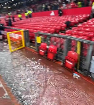 Дождевая вода быстро добралась до края поля.