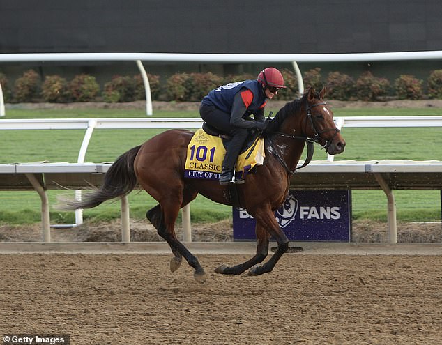 City Of Troy терпит неудачу и занимает разочаровывающее восьмое место в Breeders Cup Classic, но Эйдан О’Брайен клянется продолжать свои поиски победы в этом показательном соревновании.